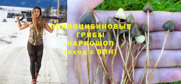 ALPHA PVP Арсеньев