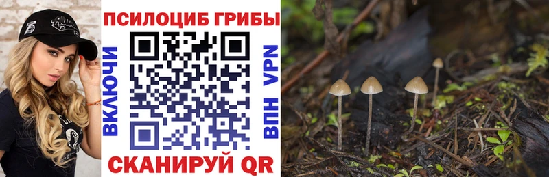 Галлюциногенные грибы MAGIC MUSHROOMS  Карабаш 